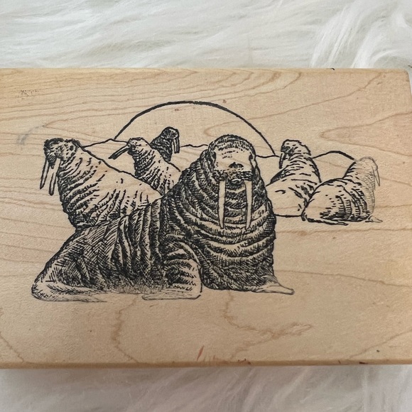 Beach Walrus Walruses Wood Mounted Rubber Stamp - Picture 4 of 5